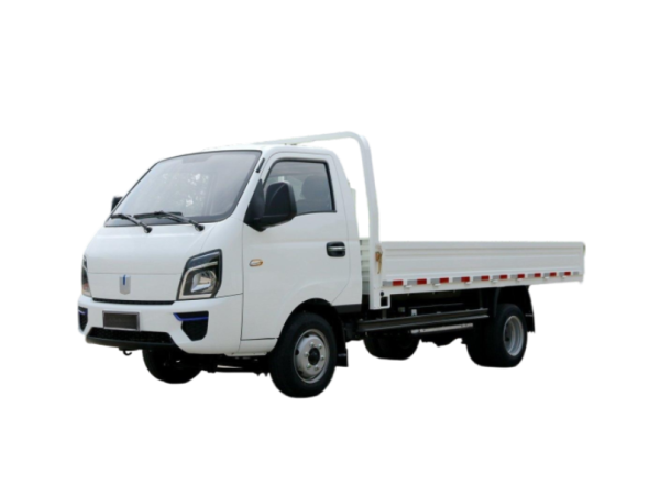 2 Ton Electric Light Truck