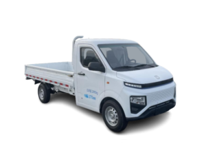 Light duty Electric Truck