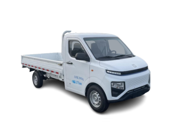 Light-duty Electric Truck